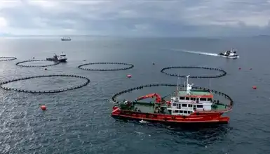 Trabzon'un Su Ürünleri İhracatı Patladı!